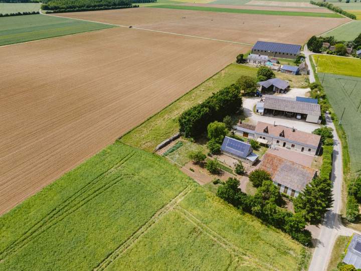 Production de semence Tours