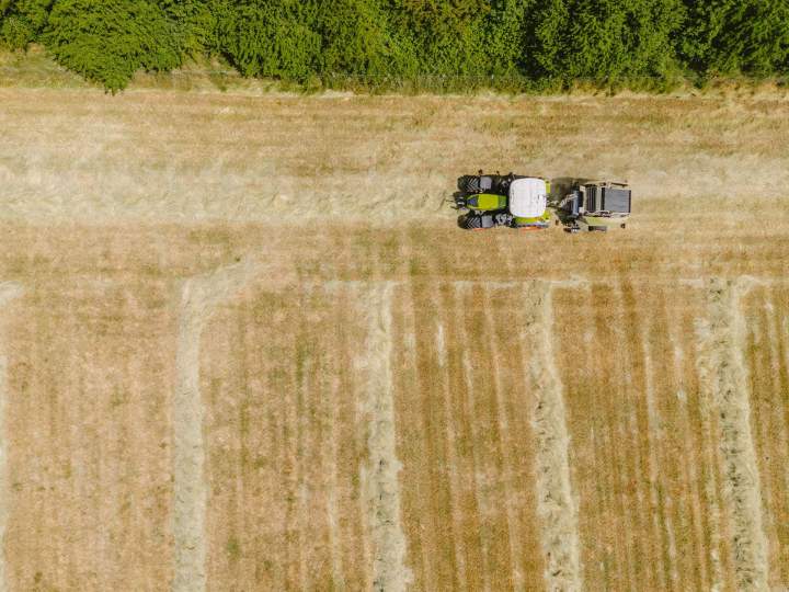 Vente de colis agneau Tours